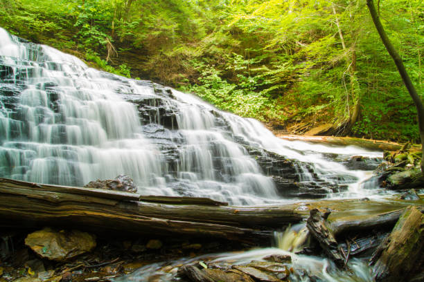 istock Waterfall And Fresh Water Stream Flowing Through Forest Landscape 1037501412