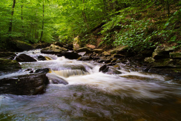 istock Waterfall And Fresh Water Stream Flowing Through Forest Landscape 1037505982