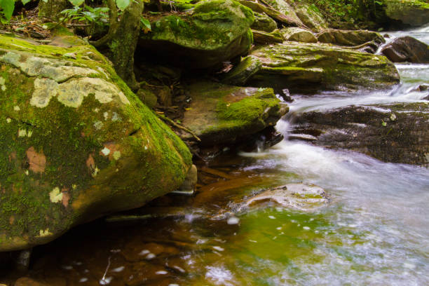 istock Waterfall And Fresh Water Stream Flowing Through Forest Landscape 1037506136