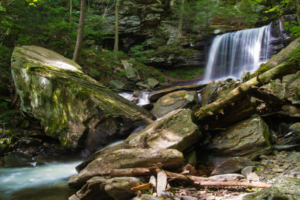 istock Waterfall And Fresh Water Stream Flowing Through Forest Landscape 1037506194