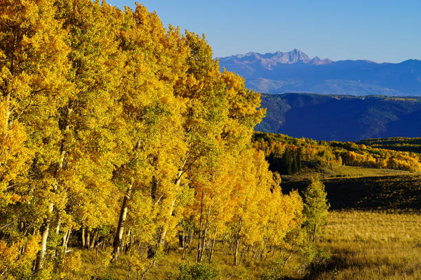 scenic de aspen mountain de árvores no outono - capitol - fotografias e filmes do acervo