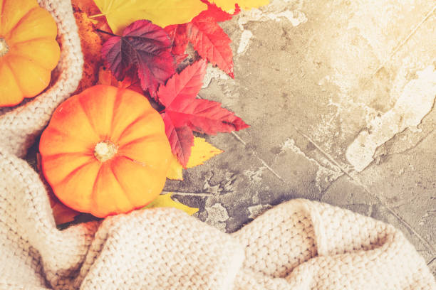 istock Thanksgiving pumpkins with fall leaves 1037520998