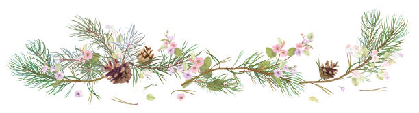 horizontale grenze mit tannenzweigen, zapfen, frühjahr blühen. nadeln auf weißem hintergrund, digitale hand zeichnen, aquarell-stil, dekorative botanische illustration für design, weihnachtsbaum, vektor - sakura stock-grafiken, -clipart, -cartoons und -symbole