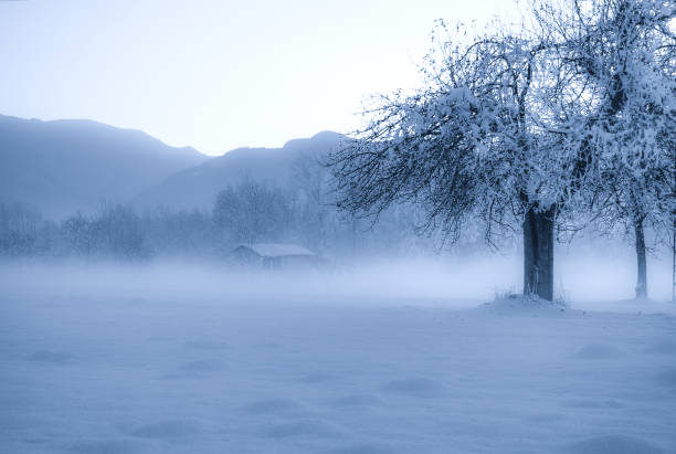 early morning fog covers the snow and trees - winter lake snow fog imagens e fotografias de stock