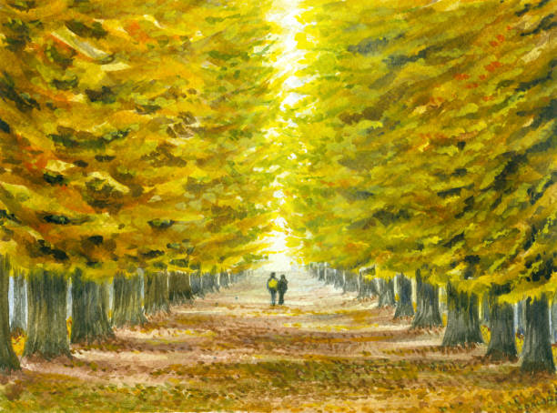 stara dąb aleja - paintings watercolor painting landscape autumn stock illustrations
