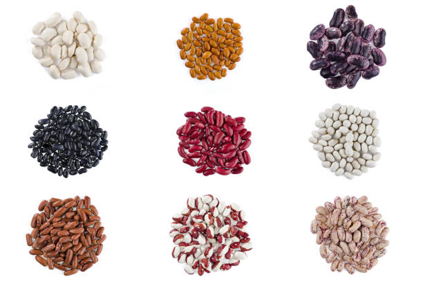 A collection of different bean varieties isolated on a white background