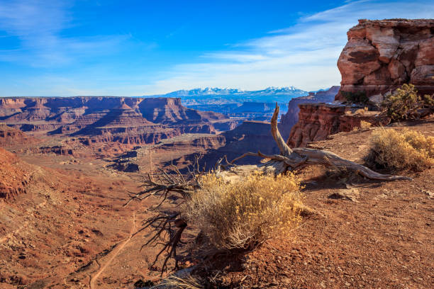 Canyonlands National Park View stock photo