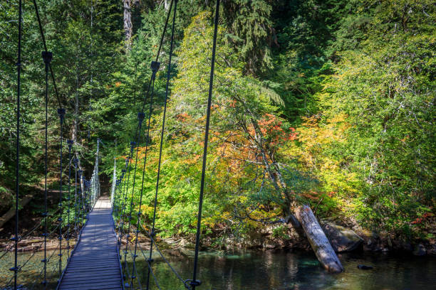 Hiking Bridge Mt Rainier National Park stock photo