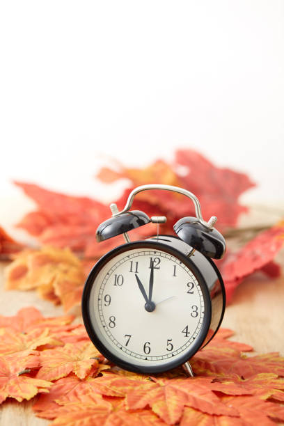istock fall leaves and black and white alarm clock with copy-space 1037541134