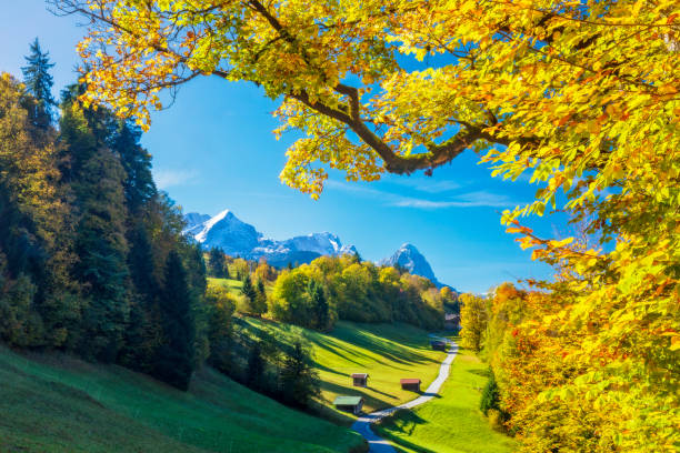 ガルミッシュ ・ パルテンキルヒェンの秋 - wamberg - wetterstein mountains bavaria mountain forest ストックフォトと画像
