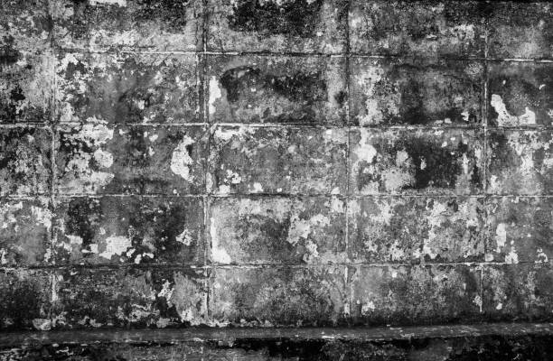 istock Old concrete wall of the house 1037550496