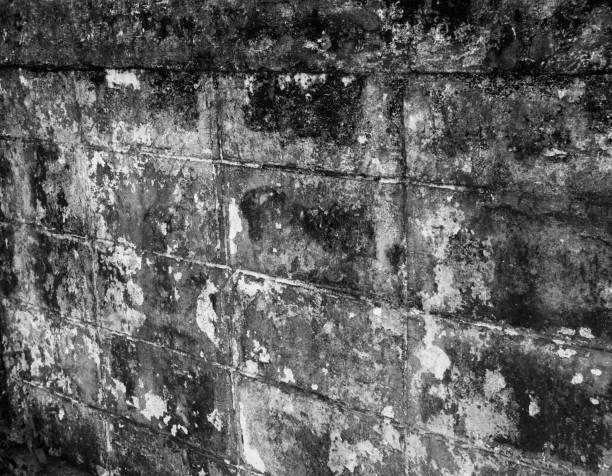 istock Old concrete wall of the house 1037550602