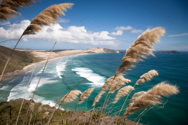 cape reinga strand - region northland stock-fotos und bilder