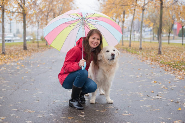 istock Walking with dog on a rainy autumn day 1037553250