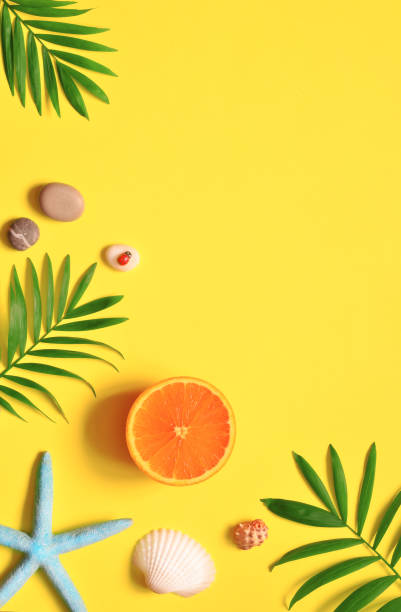istock Tropical background. Palm trees branches with starfish and seashell on yellow background. Travel. Copy space. 1037556918