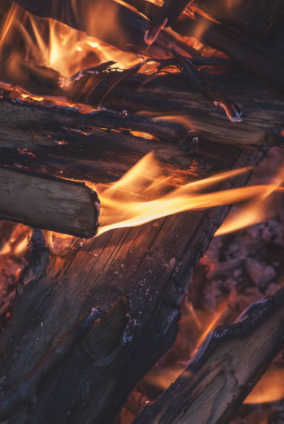 istock Burning wood in a campfire summer evening close-up 1037558200