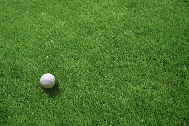 Close-up of flying golf ball over blurred course