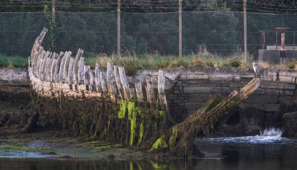 istock Shipwreck on Forton Lake 1037584658