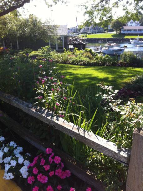 istock Seaside Garden in Maine 1037584754