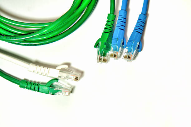블루와 흰색 바탕에 녹색 lan 케이블 - cable plastic zip ties computer cable 뉴스 사진 이미지