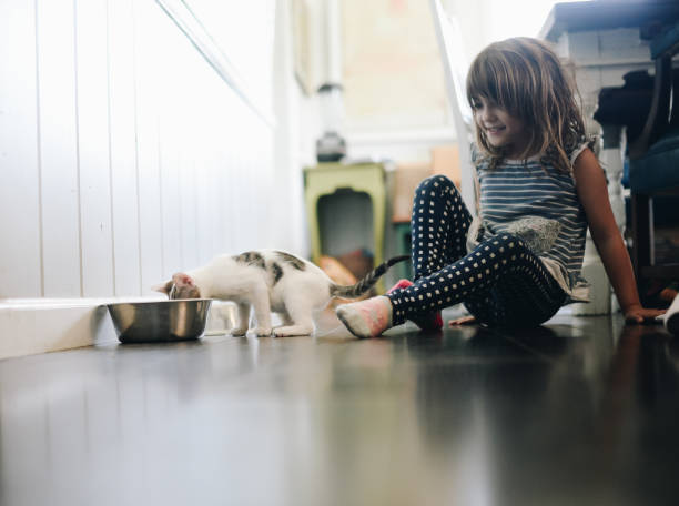 istock The care and keeping of kittens 1037591472