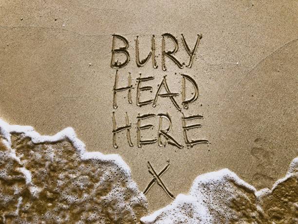 Climate Change Message Written in Sand Bury Head Here climate change message handwritten in the sand with waves washing over the text head in the sand stock pictures, royalty-free photos & images