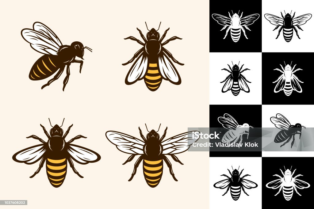 Vector bee icons - Royalty-free Abelha arte vetorial