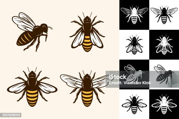 Vector Bee Icons - Arte vetorial de stock e mais imagens de Abelha - Abelha, Ilustração, Ícone