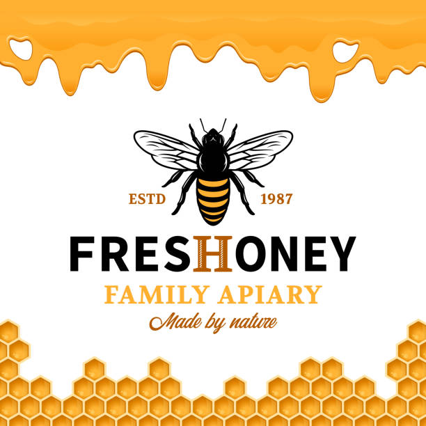 ilustrações, clipart, desenhos animados e ícones de modelo de rótulo de mel vector - honey crisp