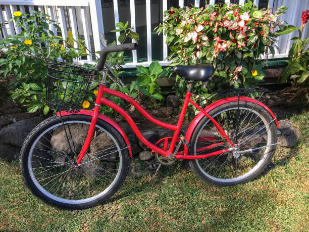 istock Red bicycle and flower bed 1037609138
