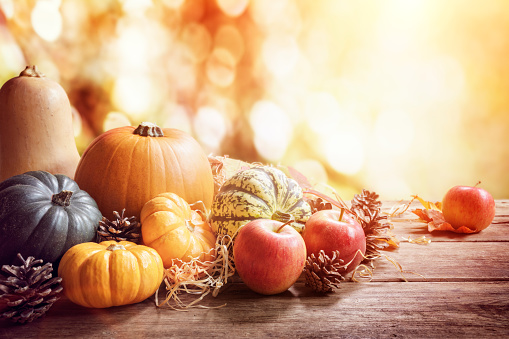 Acción de gracias, caída o saludo fondo con calabazas de otoño photo