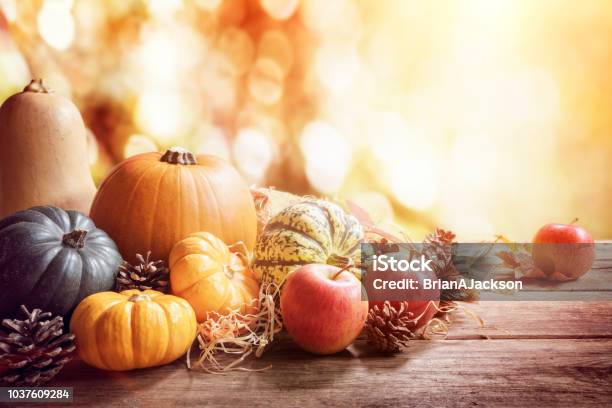 Thanksgiving Fall Or Autumn Greeting Background With Pumpkin Stock Photo - Download Image Now