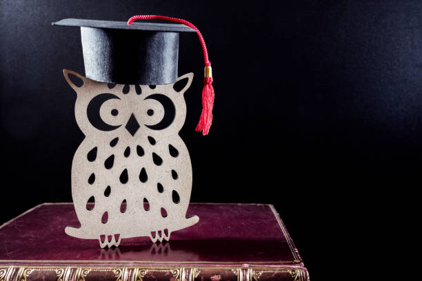 istock Wise old owl university student on books 1037609288