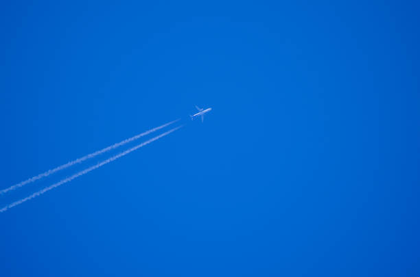 istock Against the background of a blue clear sky 1037609514