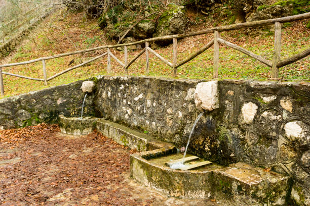 istock Stone fountain in the woods 1037619856