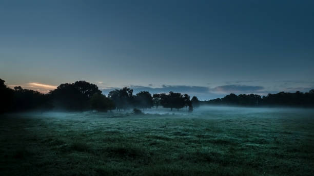 heure bleue dans le pays - oklahoma agriculture landscape nature photos et images de collection