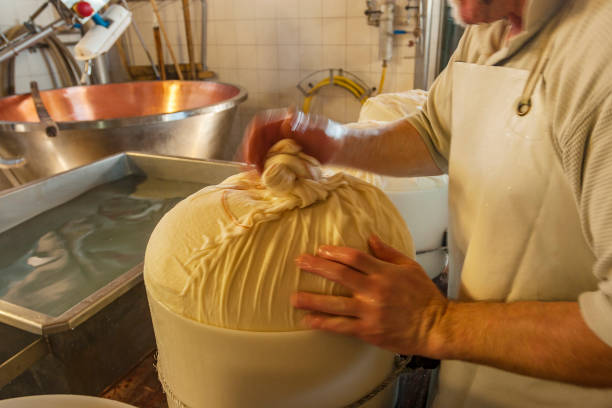 istock Production of cheese 1037623214