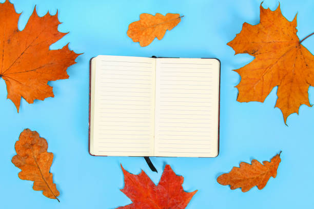 istock Autumn composition: Bright maple leaves on a blue background with a white notepad. Copy space.Flat lay. Top view. 1037630812
