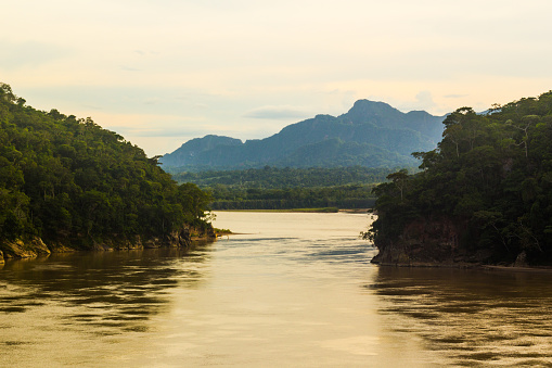 River in the Jungle in Rurrenabaque - Amazon Rainforest in Bolivia