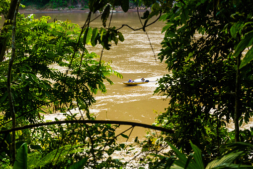 River in the Jungle in Rurrenabaque - Amazon Rainforest in Bolivia