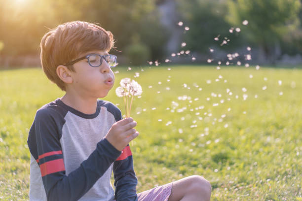 istock Happy boy blowing dandelion 1037640458