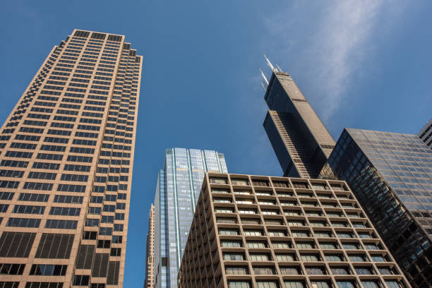Chicago, IL / USA - August 30, 2018: The world famous and iconic Willis Tower, formerly Sears Tower, rises into a blue sky behind other towers, downtown Chicago, in the Loop business district.