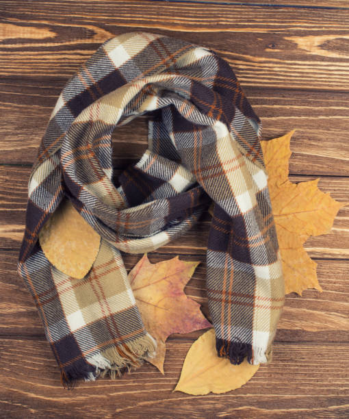 istock Cozy checkered scarf and autumn leaves 1037647668