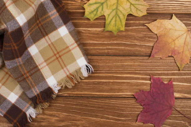 istock Cozy checkered scarf and autumn maple leaves 1037647836