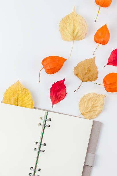 istock Notebook with flying dried flowers and leaves 1037650486