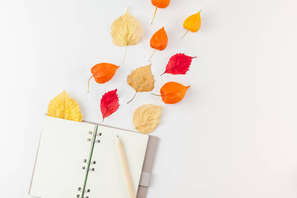 istock Notebook with flying dried flowers and leaves 1037650550