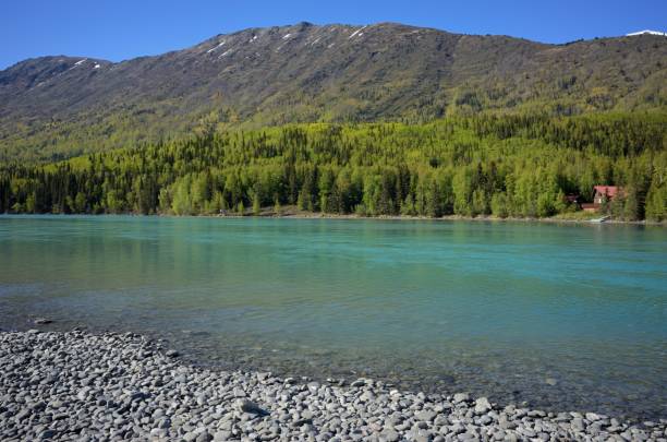 istock Russian River in front of Mountain 1037651658