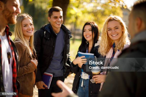 Group Of College Students On University Campus Stock Photo - Download Image Now - Campus, University, Tourism