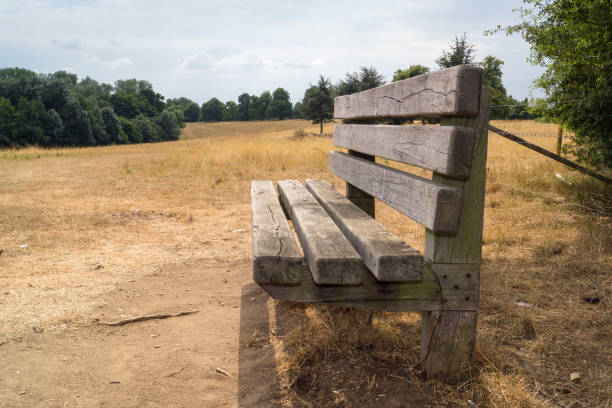 istock A bench in Pishiobury park, 1037665924