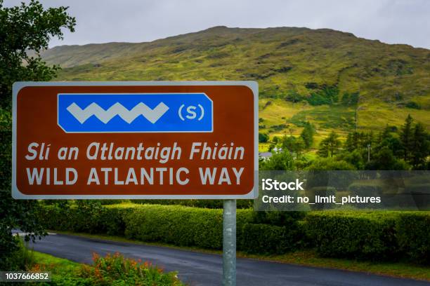 Wild Atlantic Way Sign Stock Photo - Download Image Now - Wild Atlantic Way, Sign, Directional Sign